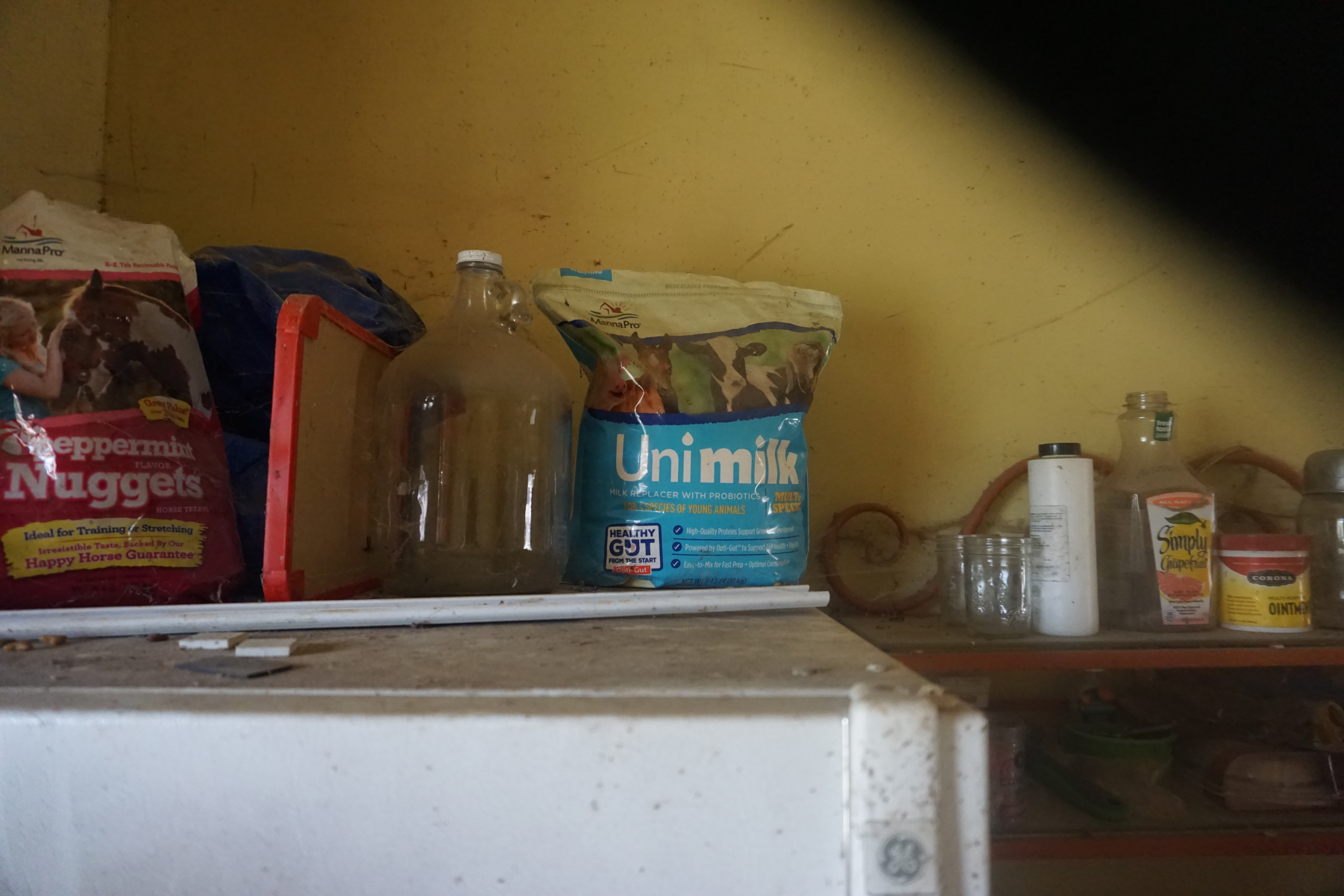 three graces dairy Marshall nc