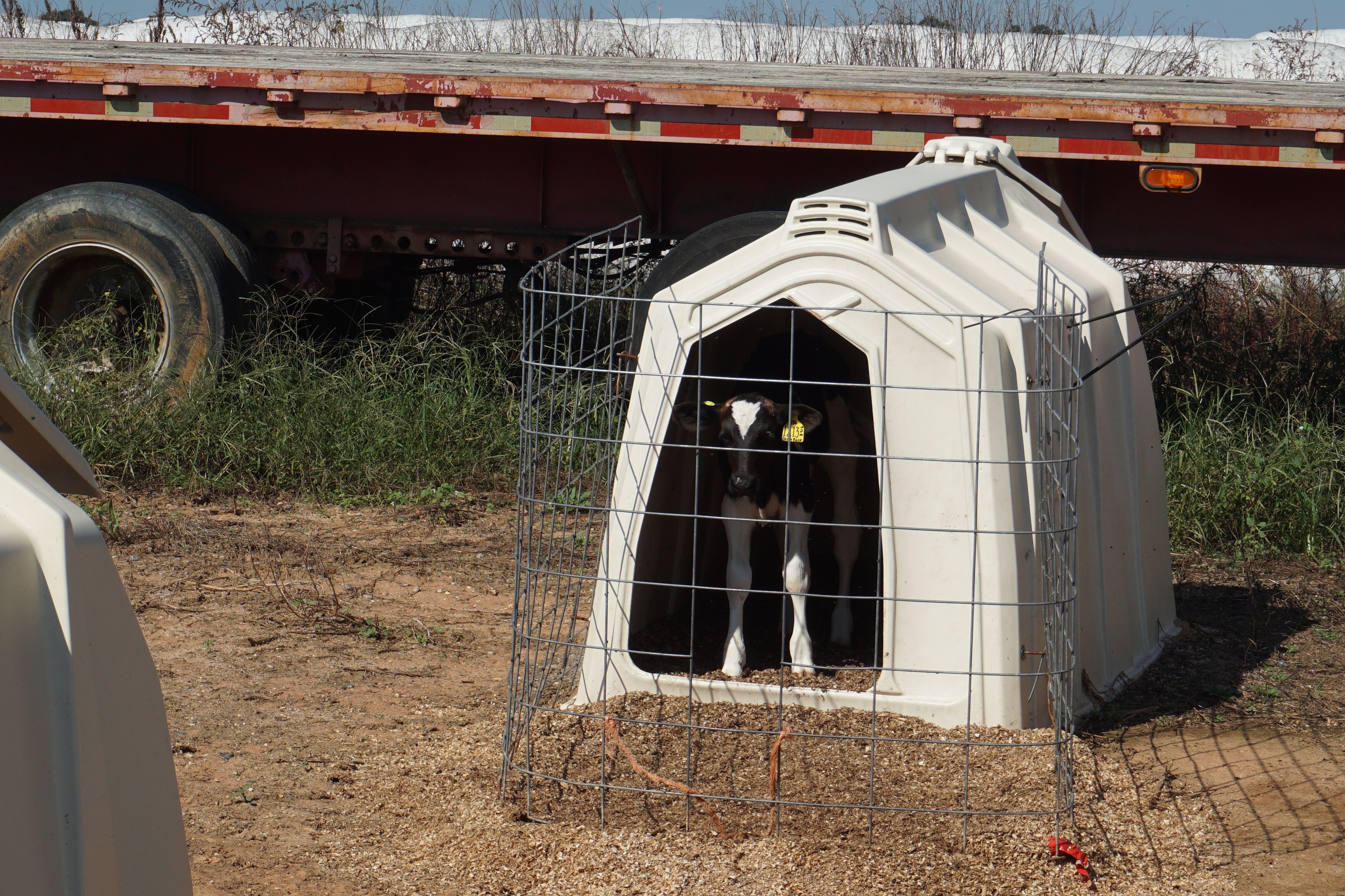 dairy farm asheville nc