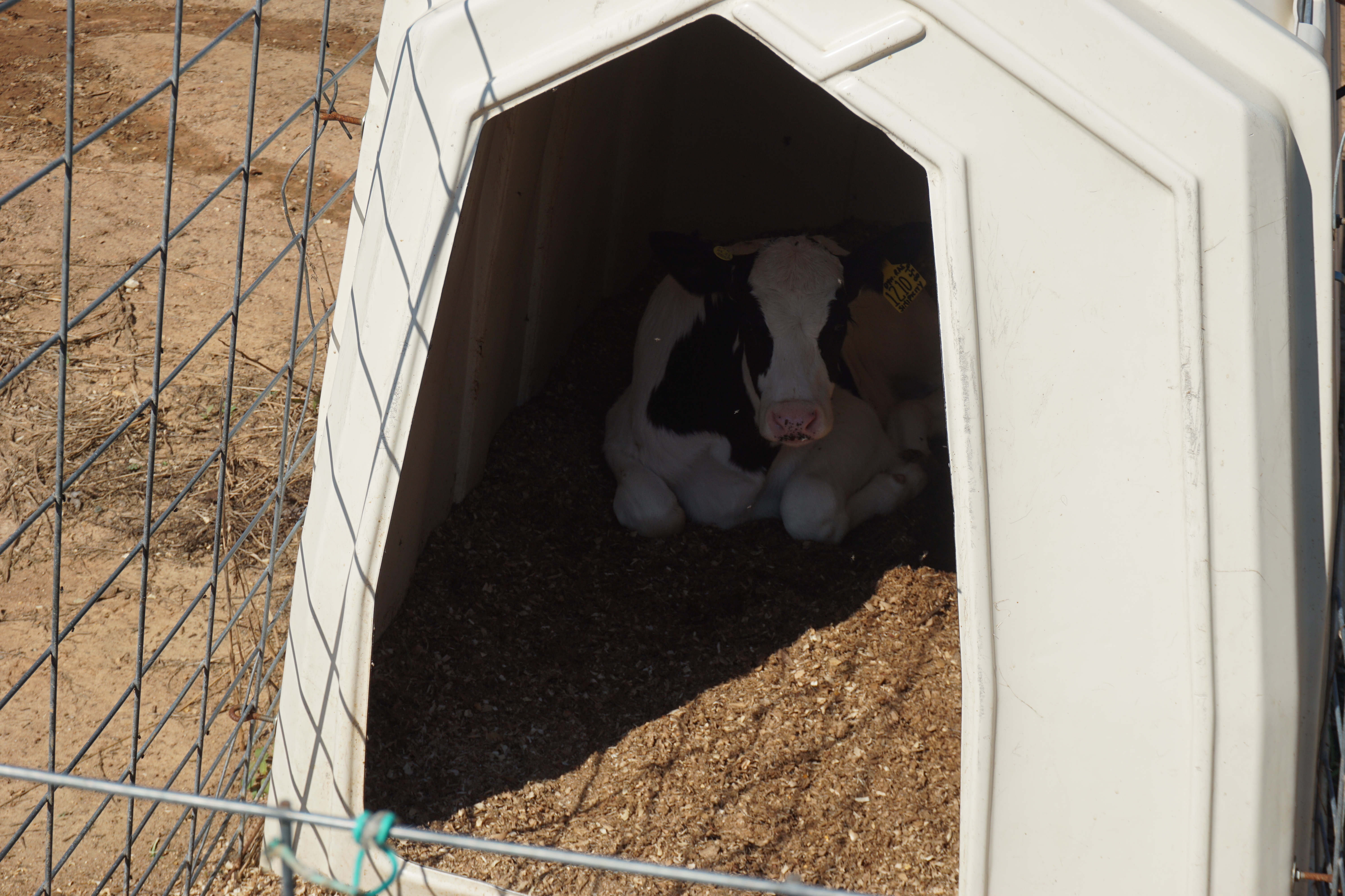 dairy farm asheville nc