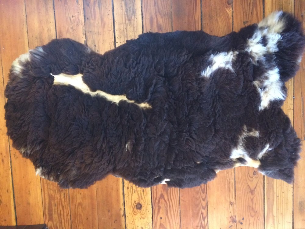 Grass roots farm and dairy